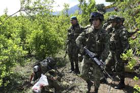 14 Rebels Killed in Colombia Fighting